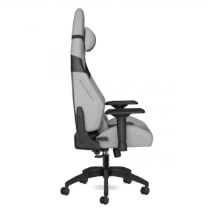 Sporte SRT Kumaş Profesyonel Oyuncu Koltuğu Aytaşı