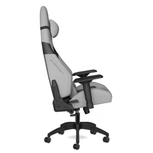 Sporte SRT Kumaş Profesyonel Oyuncu Koltuğu Aytaşı