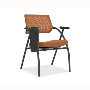 Sani Konferans Sandalyesi