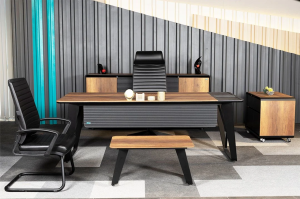 Alpix Ofis Büro Yönetici Takımı ( 210+20 cm Masalı)
