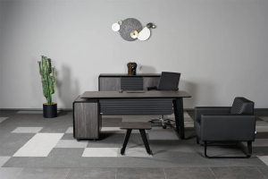Alpi X Ofis Büro Takım 160 cm Masalı