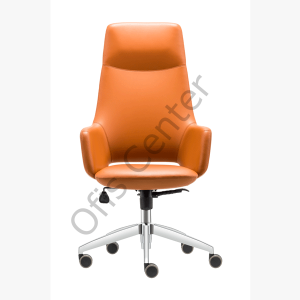 Ares Ofis ve Büro Yönetici Koltuk