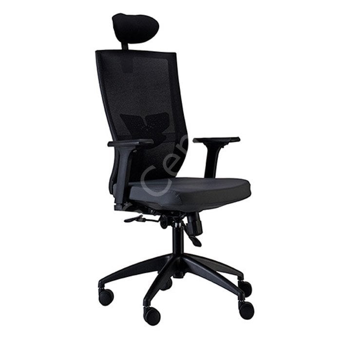 Satürn 000 PA Ofis ve Büro Müdür Koltuk