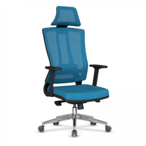 Eden Fileli Ofis Büro Makam Koltuk