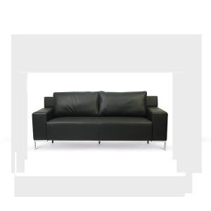 Arakan İkili Ofis Büro Kanepe