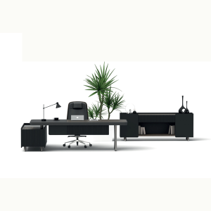 Yex Ofis Büro Yönetici Takımı