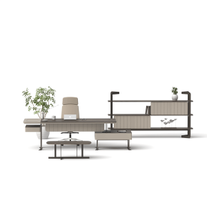 Axel Ofis Büro Makam Takımı