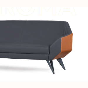 Roma Tekli Ofis ve Büro Kanepe