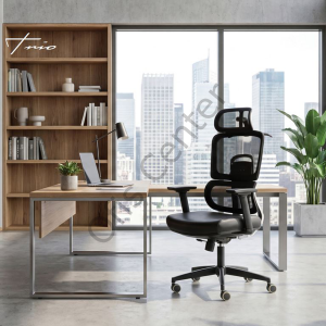 Trio Fileli Yönetici Çalışma Koltuk