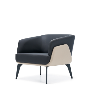 Work Tekli Ofis Büro Kanepesi