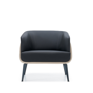 Work Tekli Ofis Büro Kanepesi