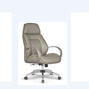 Asus Ofis Büro Makam Koltuğu