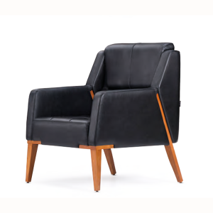 Dawın Tekli Ofis ve Büro Kanepe