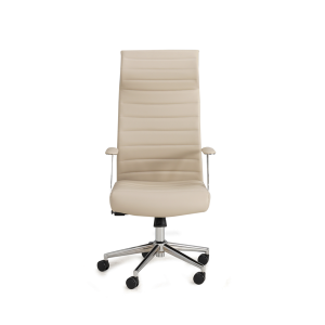 Dora Yönetici Koltuk