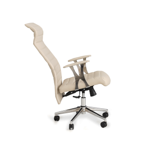 Dora Yönetici Koltuk