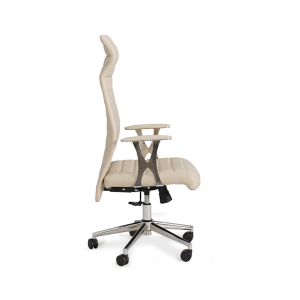 Dora Yönetici Koltuk