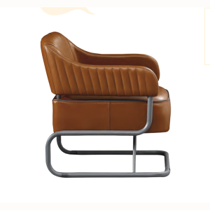 Roger Tekli Ofis Büro Kanepesi