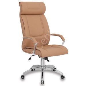 Ayena Ofis ve Büro Müdür Koltuk