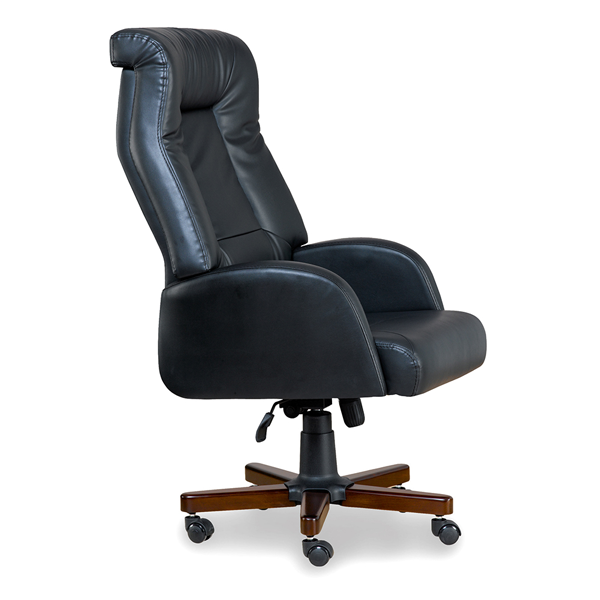 Penguen Ofis ve Büro Makam Koltuk