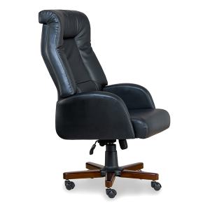 Penguen Ofis ve Büro Makam Koltuk